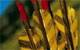 News-Bild