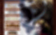 News-Bild