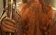 News-Bild