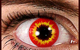 News-Bild