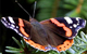 News-Bild